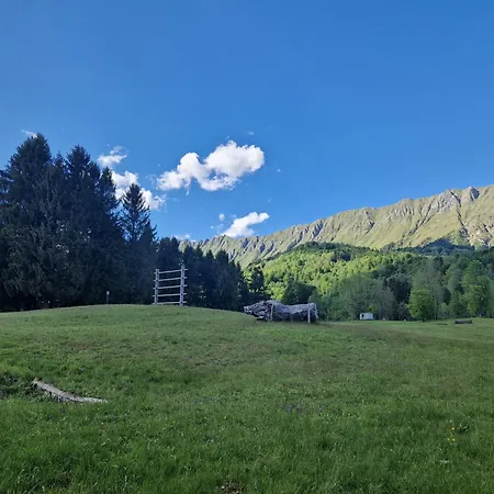 Luksustelt Bonis - Nidi Nel Bosco