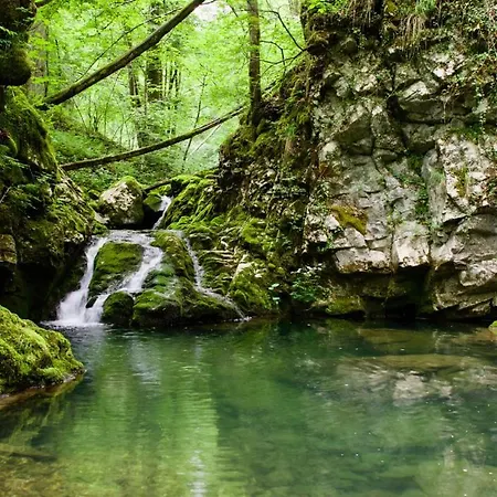 Bonis - Nidi Nel Bosco * Montemaggiore (Taipana, Udine)
