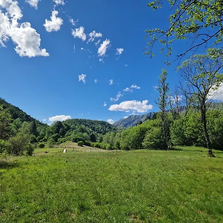 Bonis - Nidi Nel Bosco * Montemaggiore (Taipana, Udine)