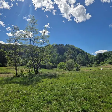 Bonis - Nidi Nel Bosco Montemaggiore (Taipana, Udine)