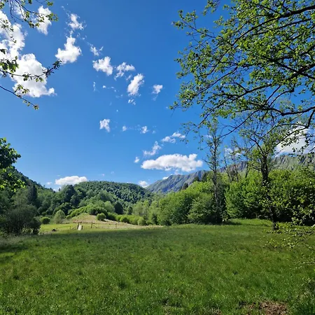 Bonis - Nidi Nel Bosco *